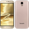 bravis discovery