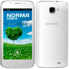 keneksi norma